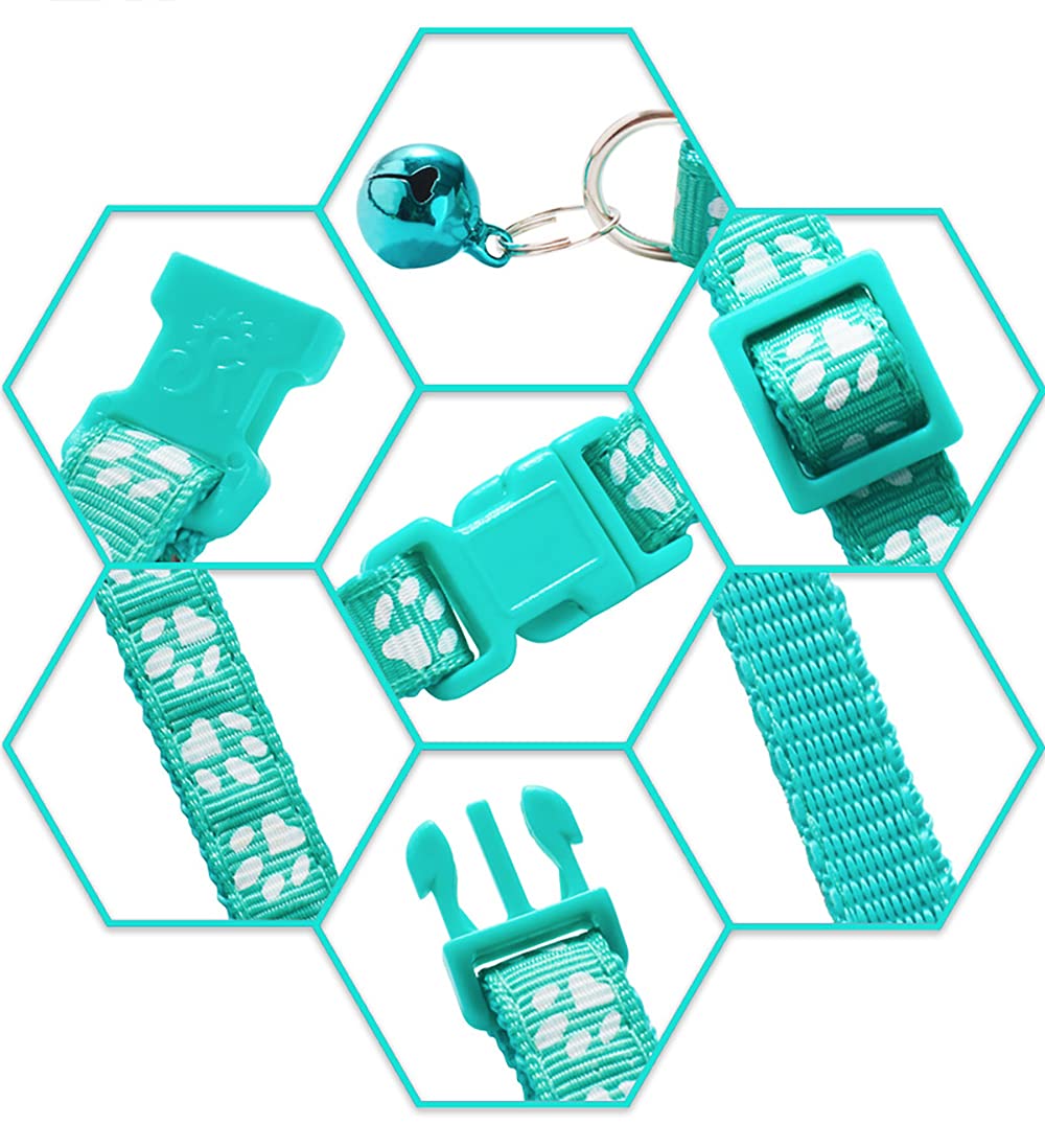 Flymind Puppy Collars heavy-duty D-ring ready for leash and identification tags.