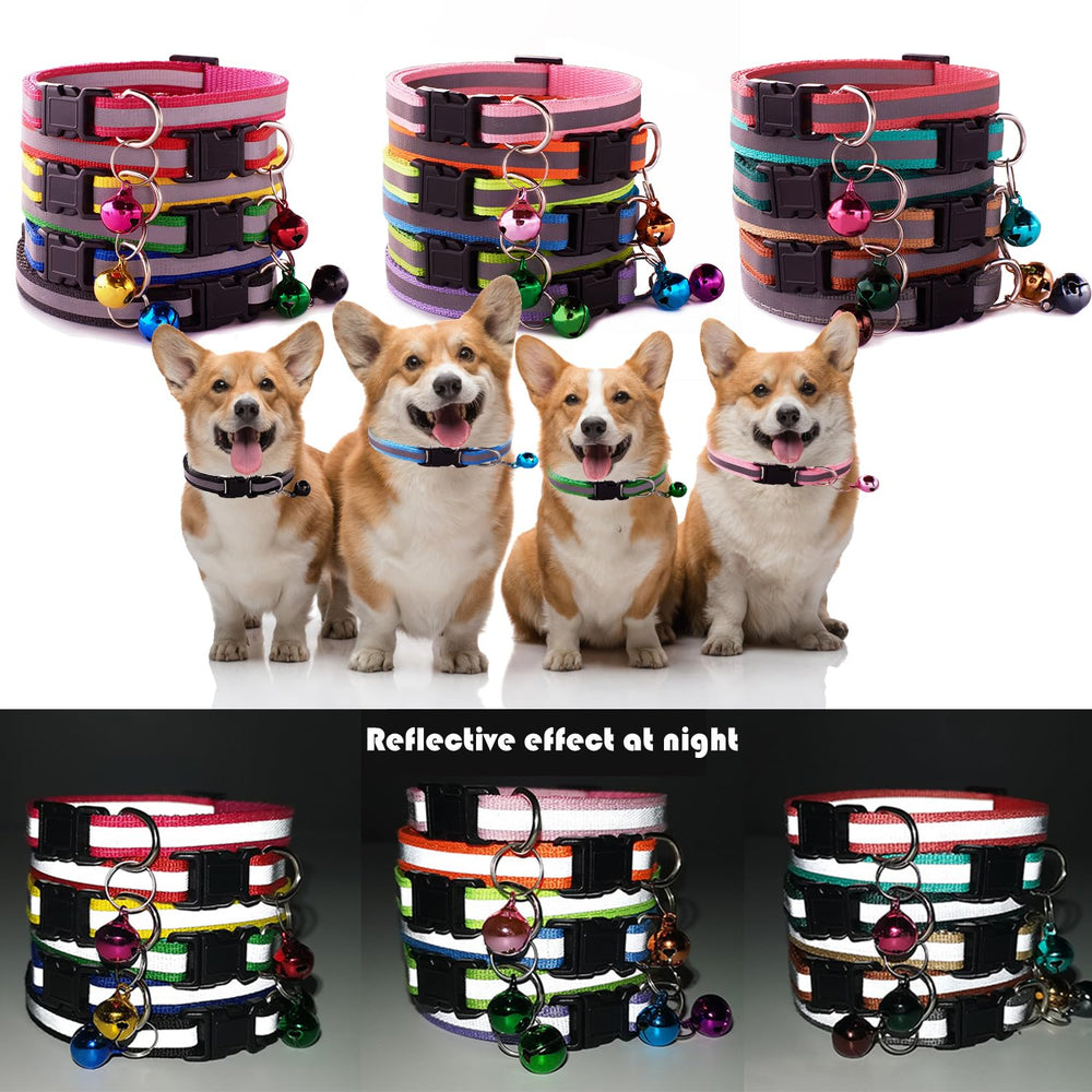 Flymind soft nylon collar material showing comfortable wear for pets