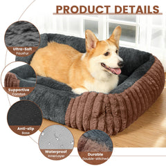 Fnsyay borde ergonómico que sostiene la columna y articulaciones de perros pequeños.