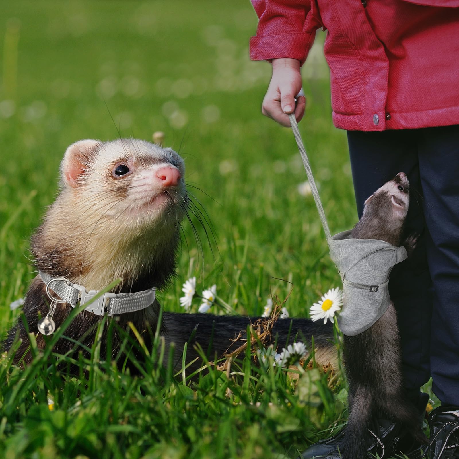 Foaincore adjustable 48 inch leash offers flexible length for comfy strolls