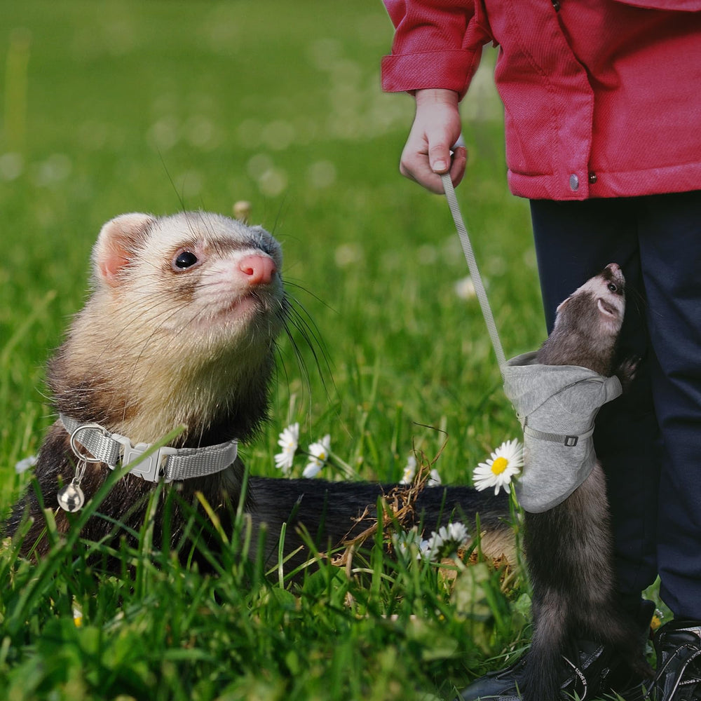 Foaincore adjustable 48 inch leash offers flexible length for comfy strolls