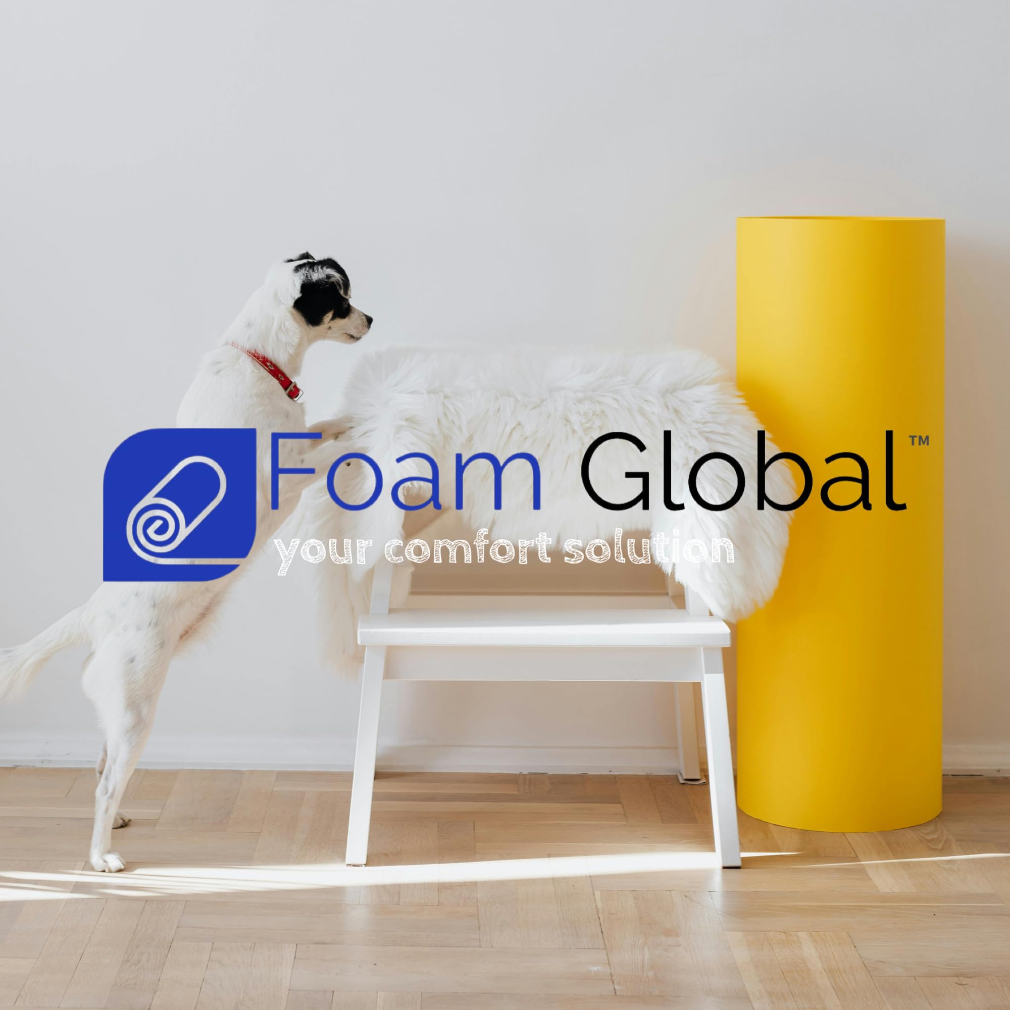 Foam Global pet bed foam insert CertiPUR-US label confirms safe, non-toxic materials