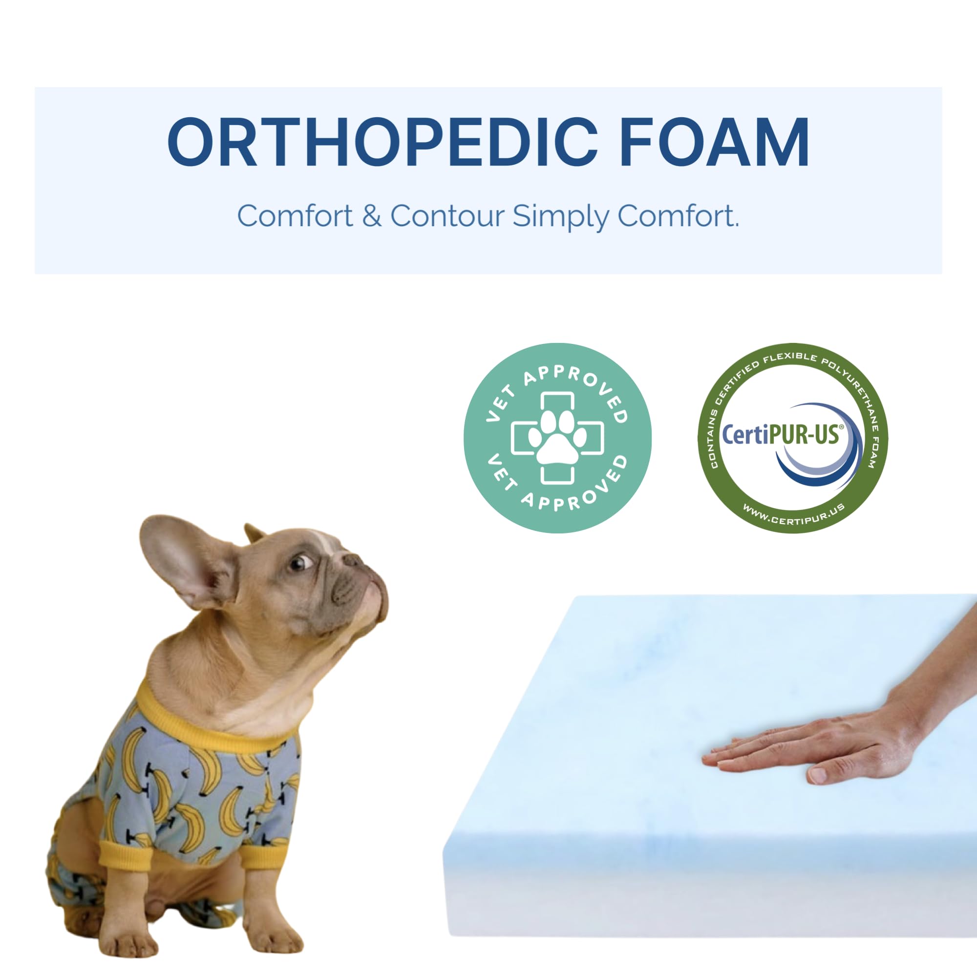 Foam Global pet bed foam insert top view shows plush surface and support