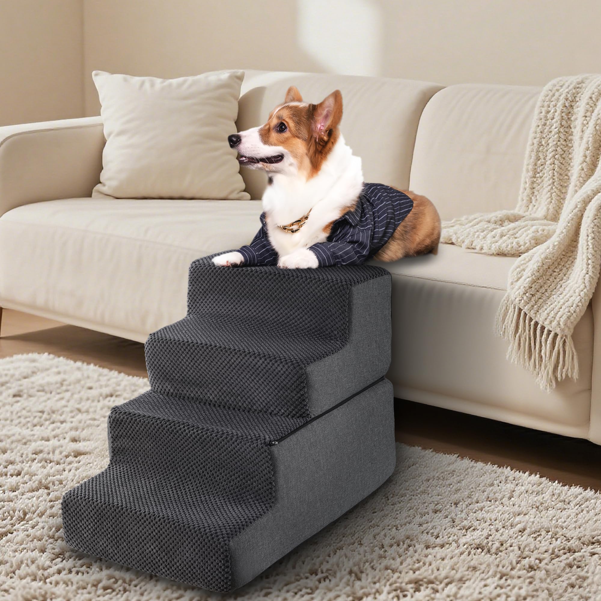 Foamalusion dog stairs in living room offer independent access to the couch.