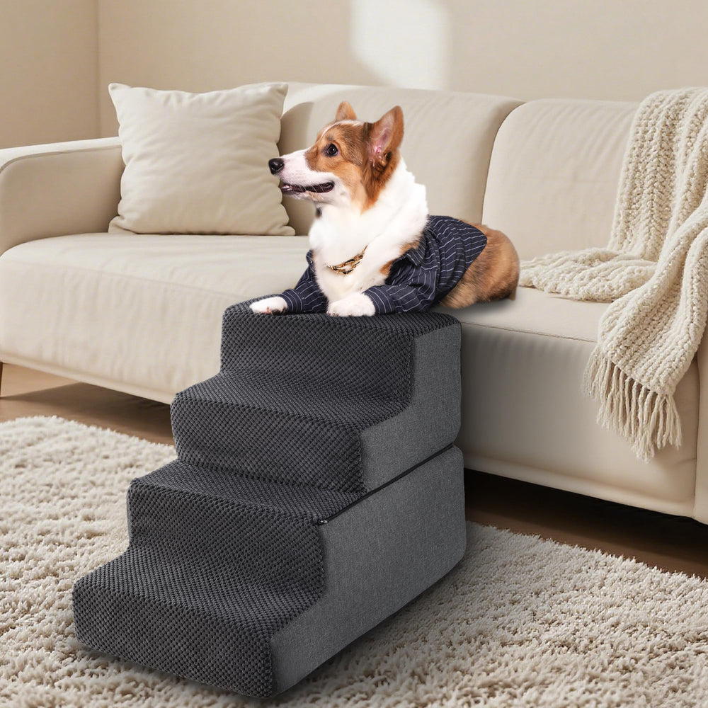 Foamalusion dog stairs in living room offer independent access to the couch.