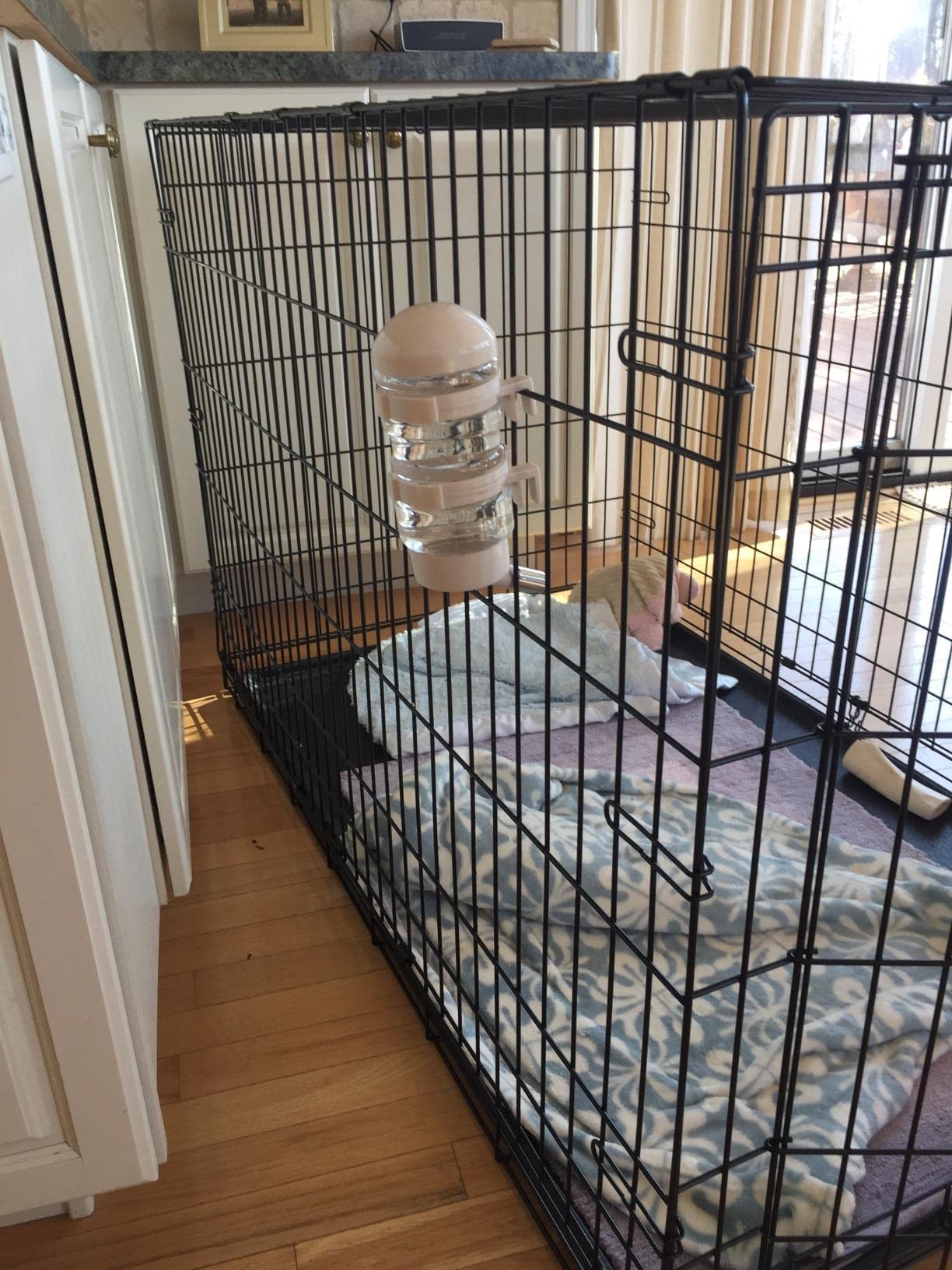 FOBLOEER pet hydration in crate reduces spill mess.