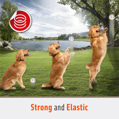 FOFOS dog balls 2.75-inch diameter—great size for medium to large dogs during fetch.