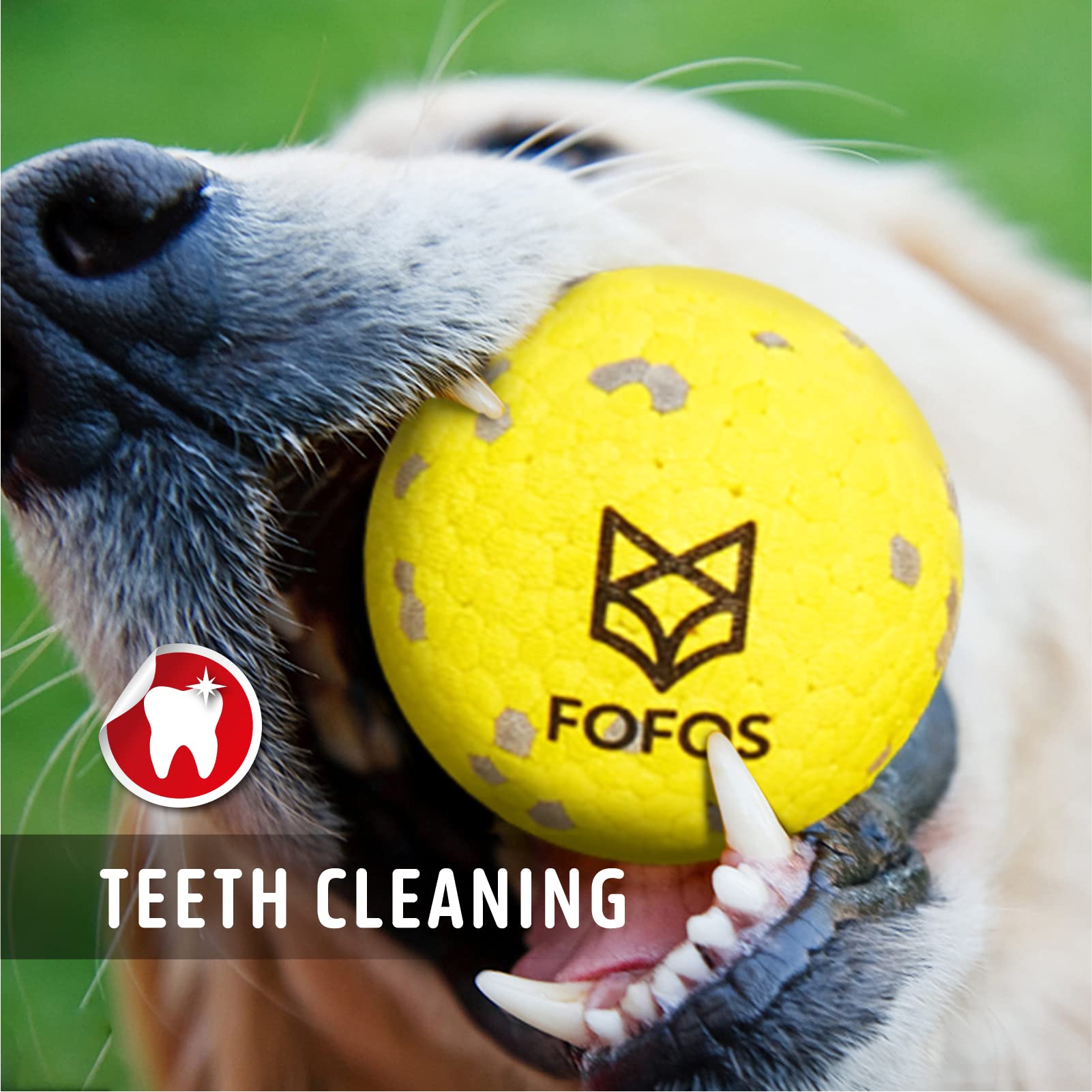 FOFOS Dog Balls easy clean, rinse after outdoor play
