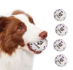 FOFOS dog balls eco material—lightweight and tough for aggressive chewers during play sessions.