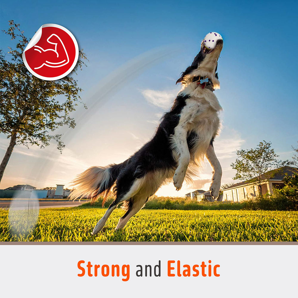 FOFOS dog balls floating—waterproof design ideal for pools, lakes, and beach play.