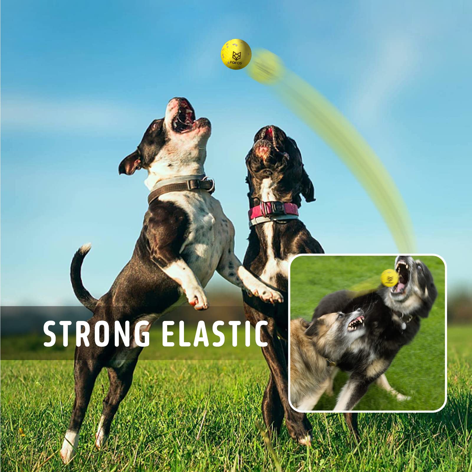 FOFOS Dog Balls packaging, four-pack ready for gifting or sharing
