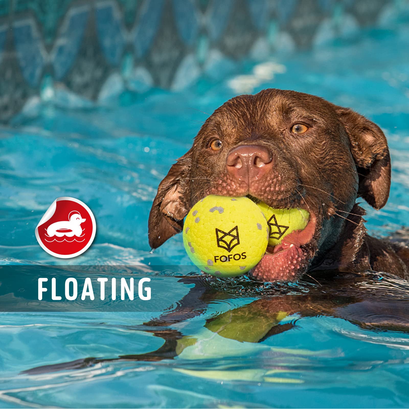 FOFOS Dog Balls puppy use, safe and durable for growing teeth