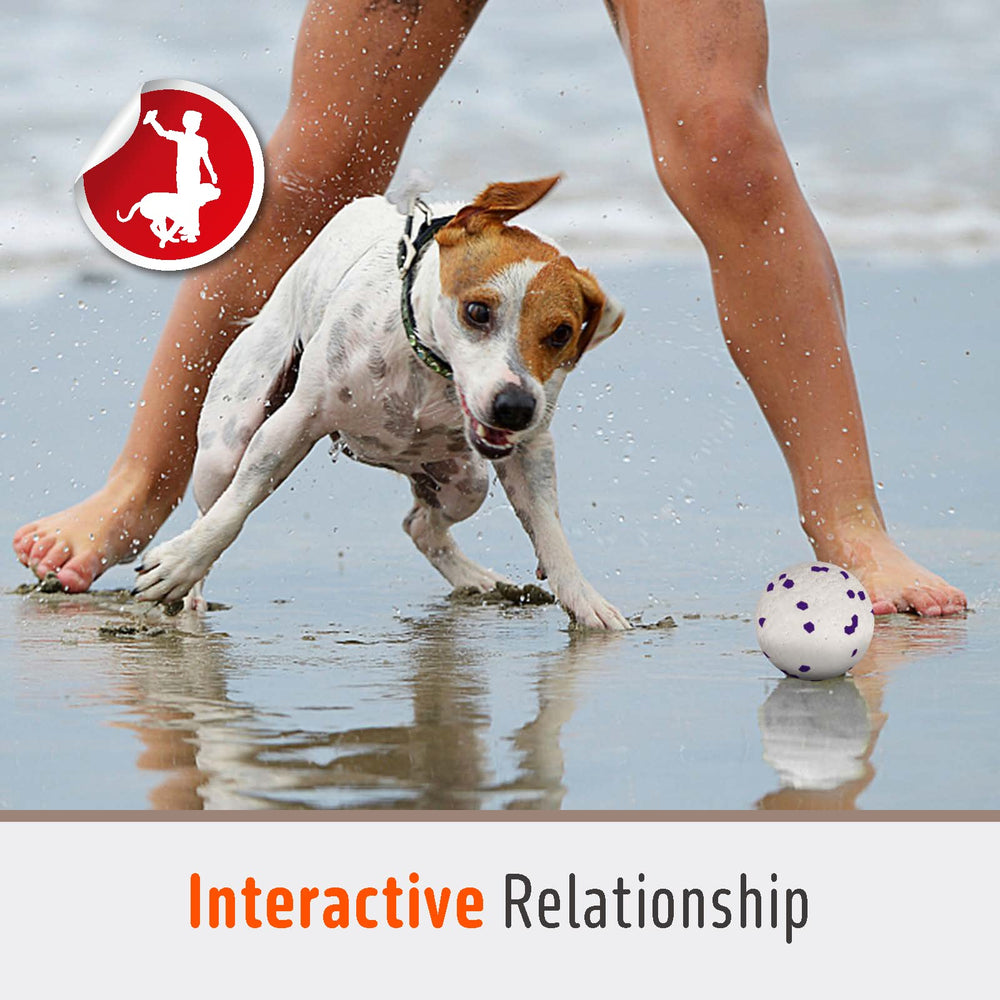 FOFOS dog balls with 60-day worry-free program—trusted support if needed.