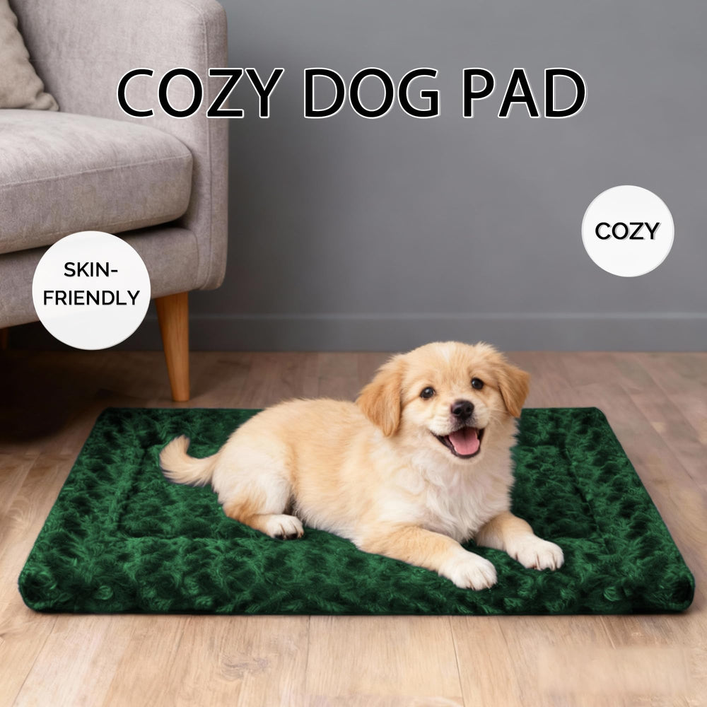Fogkiss dog mat for travel shows lightweight, portable rest on car journeys