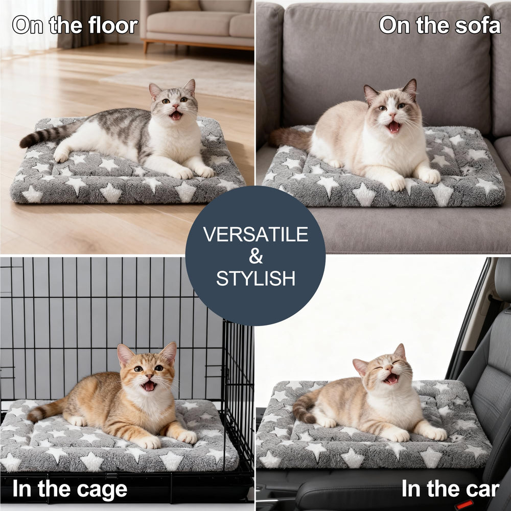 Fogkiss foldable storage roll-up for travel-ready crate bed.