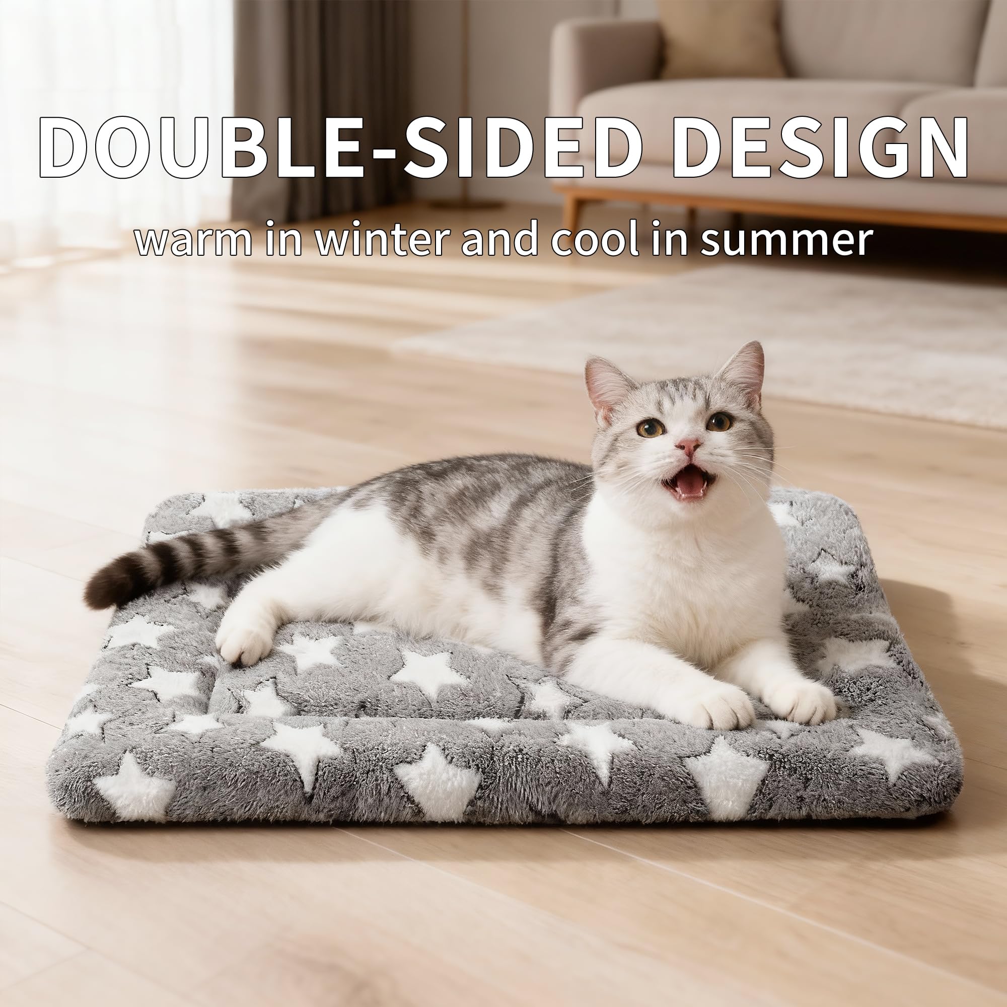 Fogkiss washable dog bed for easy deep cleaning.