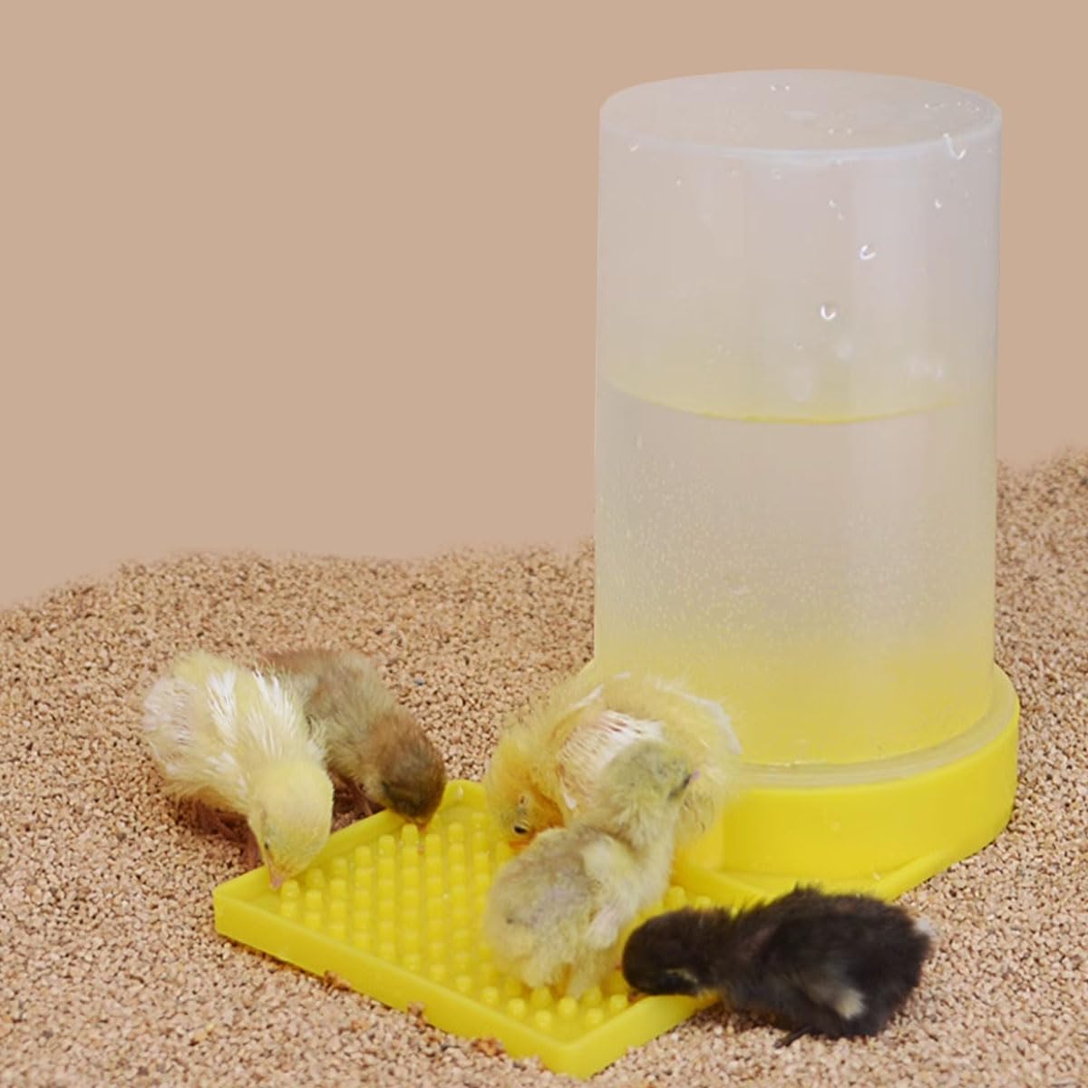 FOIBURELY Baby Bird Button Quail Yellow Water Feeder easy to detach for refills.