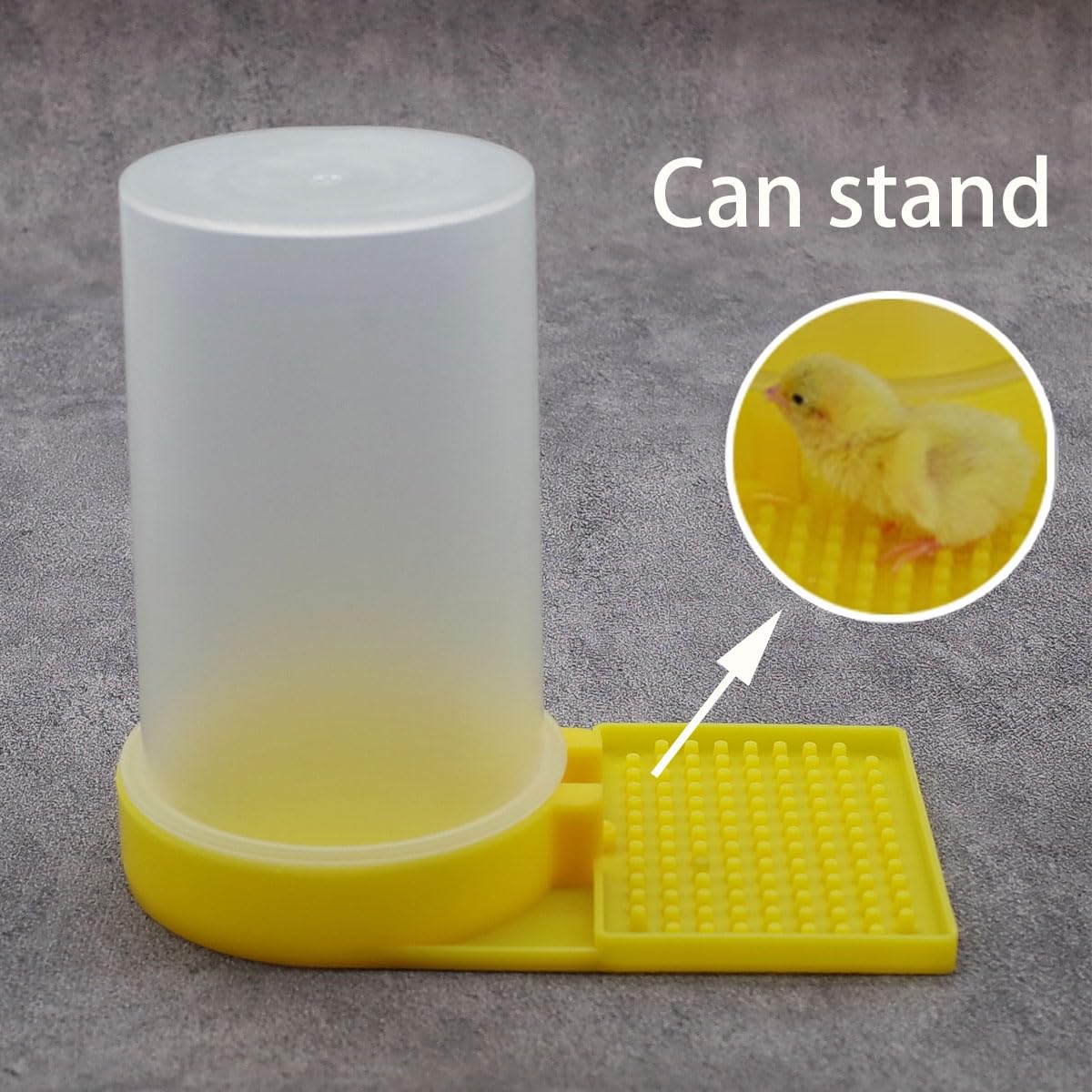 FOIBURELY Baby Bird Button Quail Yellow Water Feeder detachable cap simplifies cleaning.
