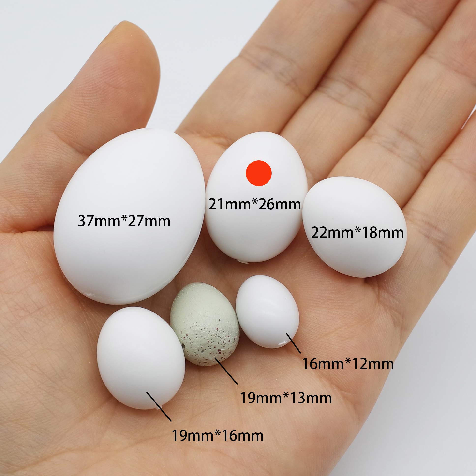 FOIBURELY dummy egg for cockatiel nest helps manage laying with reliable plastic egg.
