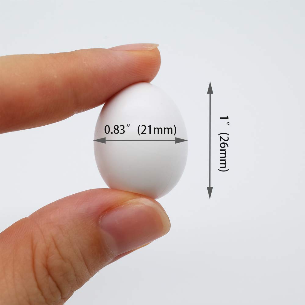FOIBURELY dummy egg for lorikeet-ringneck dove nest showcases realistic shape in nest.