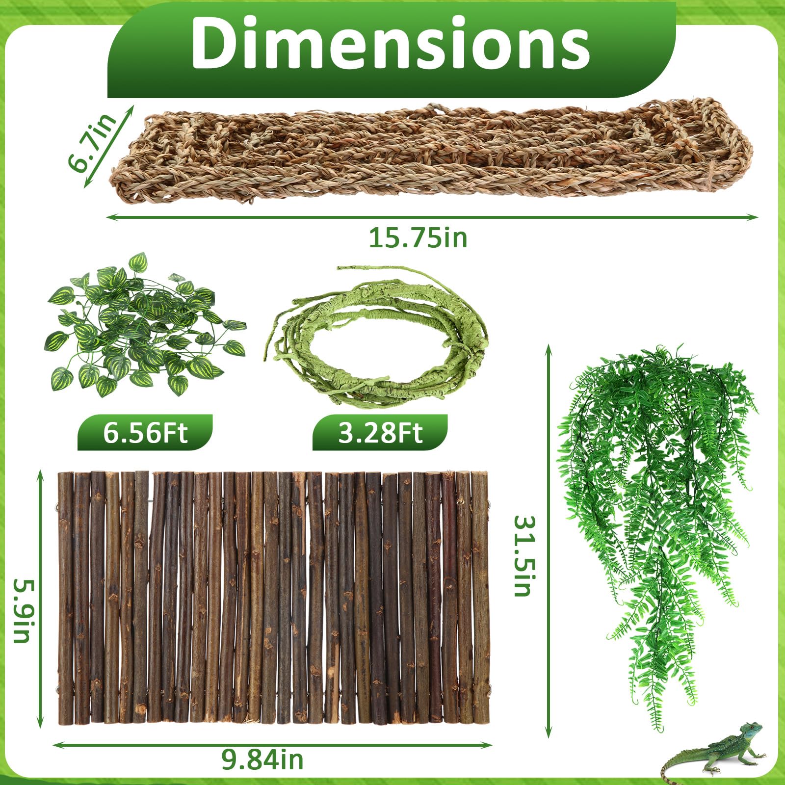 Foilswirl tree vine adds natural climbing routes and lush vertical interest.