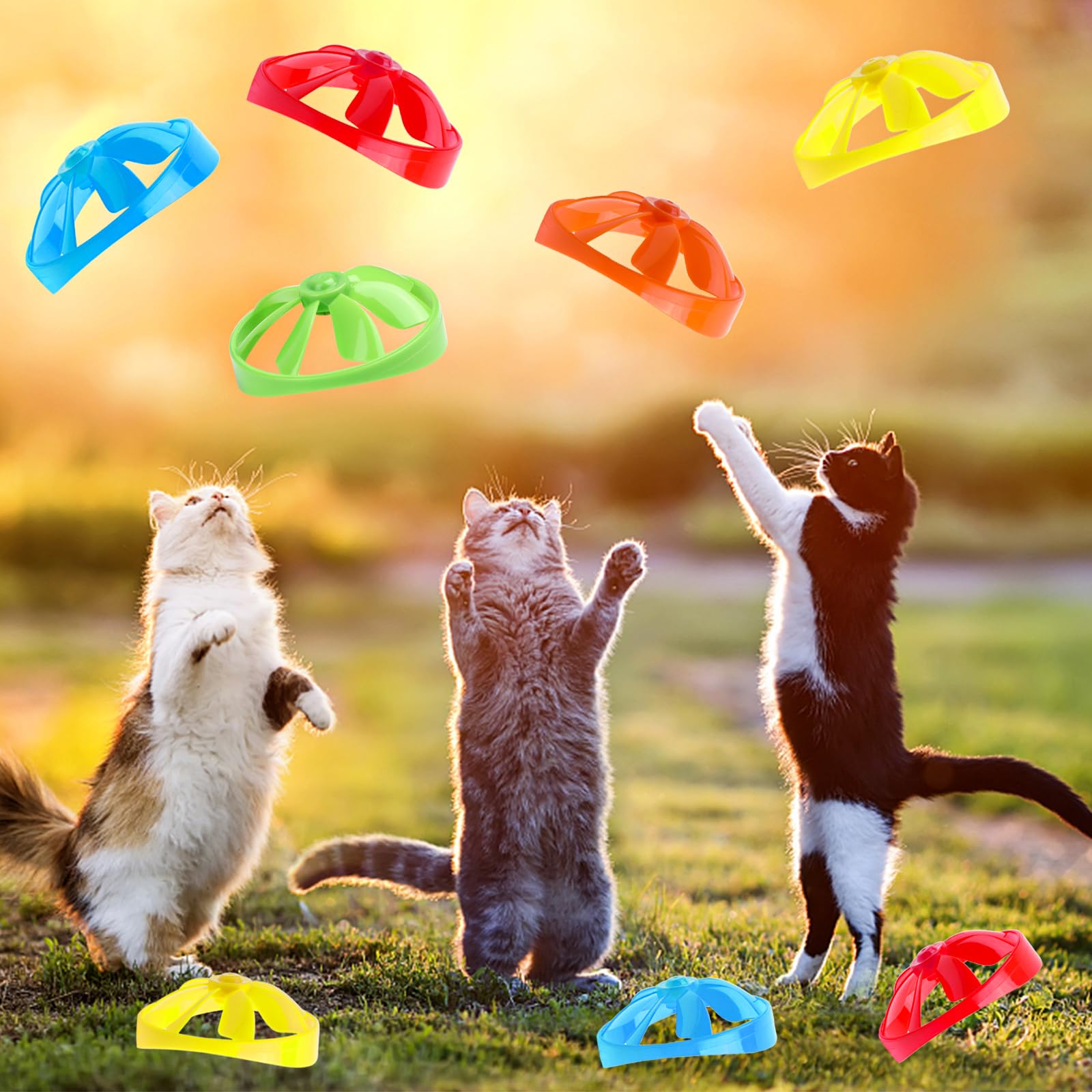 FOIMAS cat fetch toy durable plastic for long-lasting fun