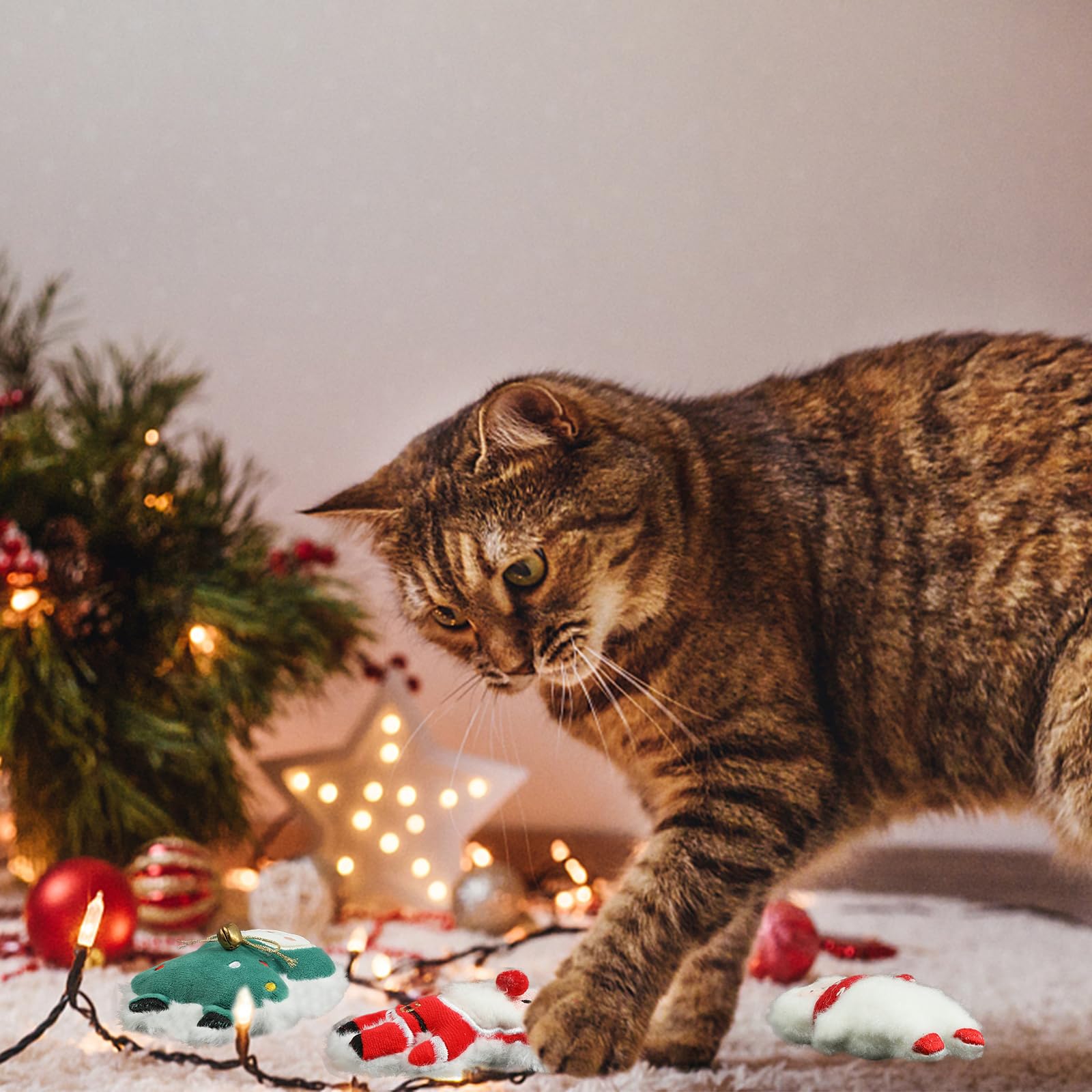 FOIMAS gift-ready packaging for Christmas catnip toys