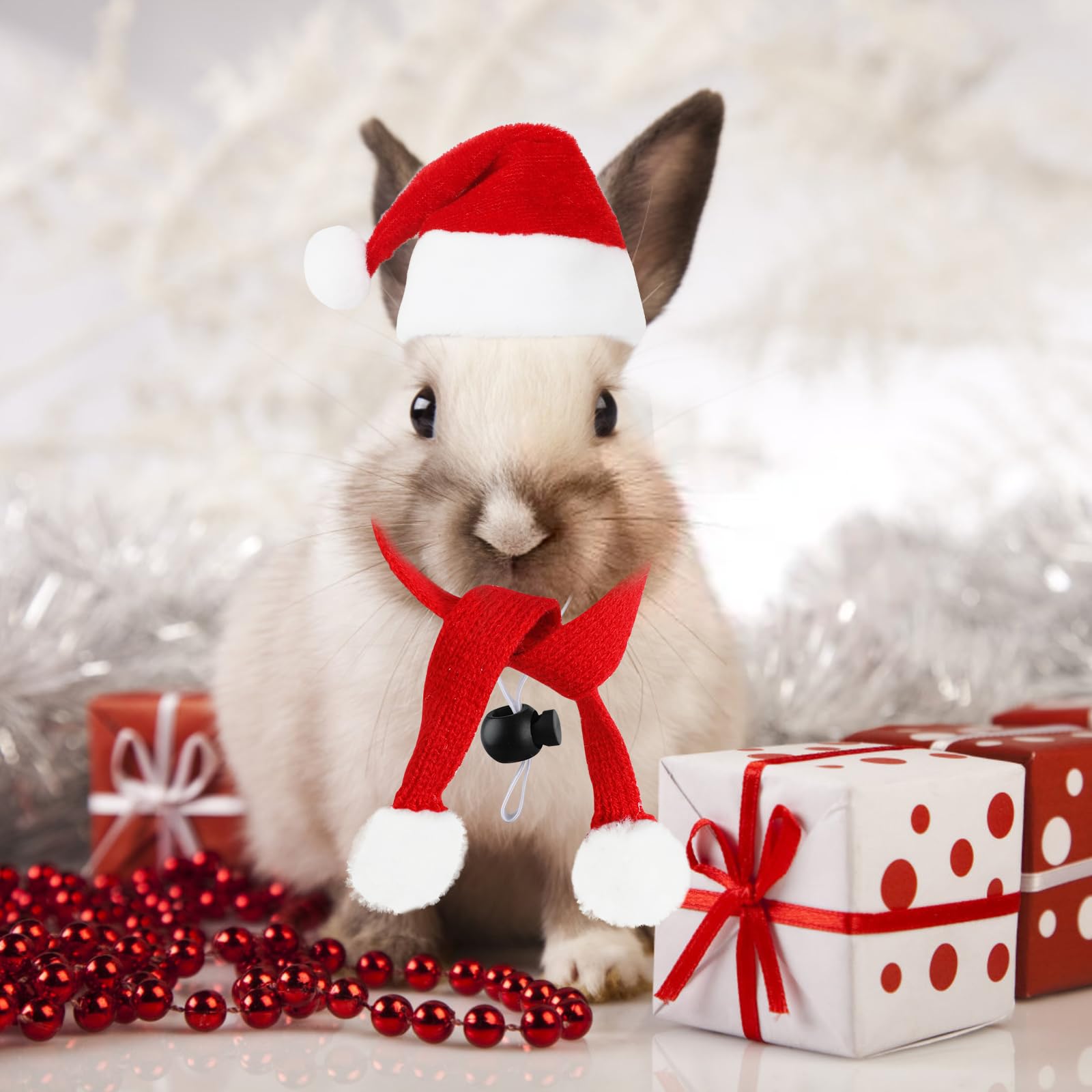 FOIMAS holiday pet photo props for festive gatherings