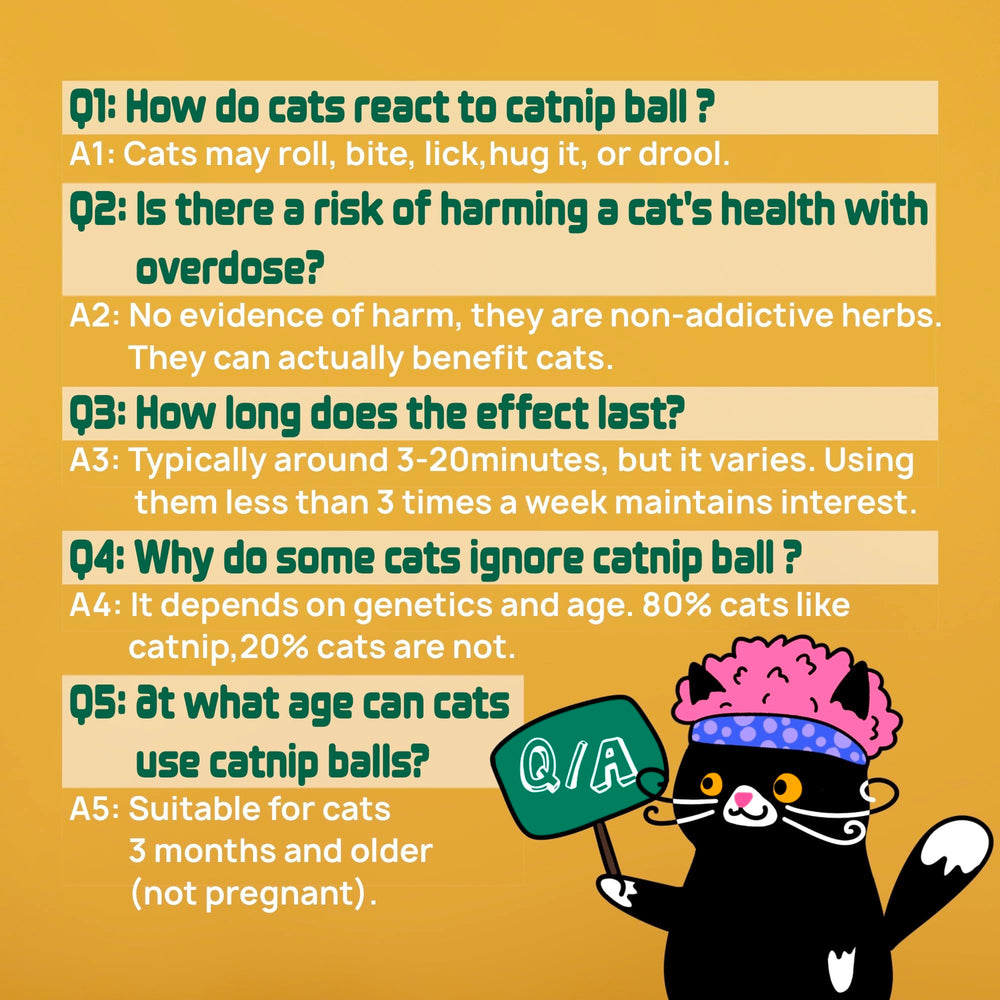 Fokauiwo catnip ball during car ride used to ease stress.