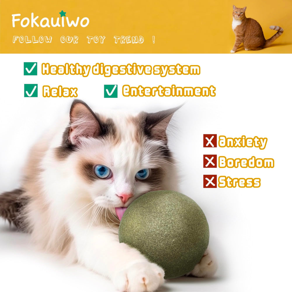 Fokauiwo catnip ball texture and ingredients showcasing safe, premium quality.