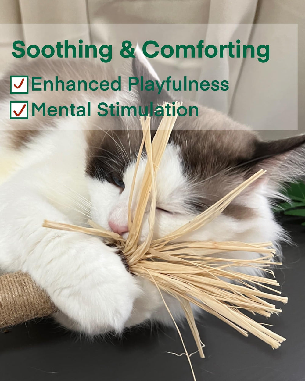 Fokauiwo 14.96-inch sticks provide entertainment for larger cats and kittens alike.