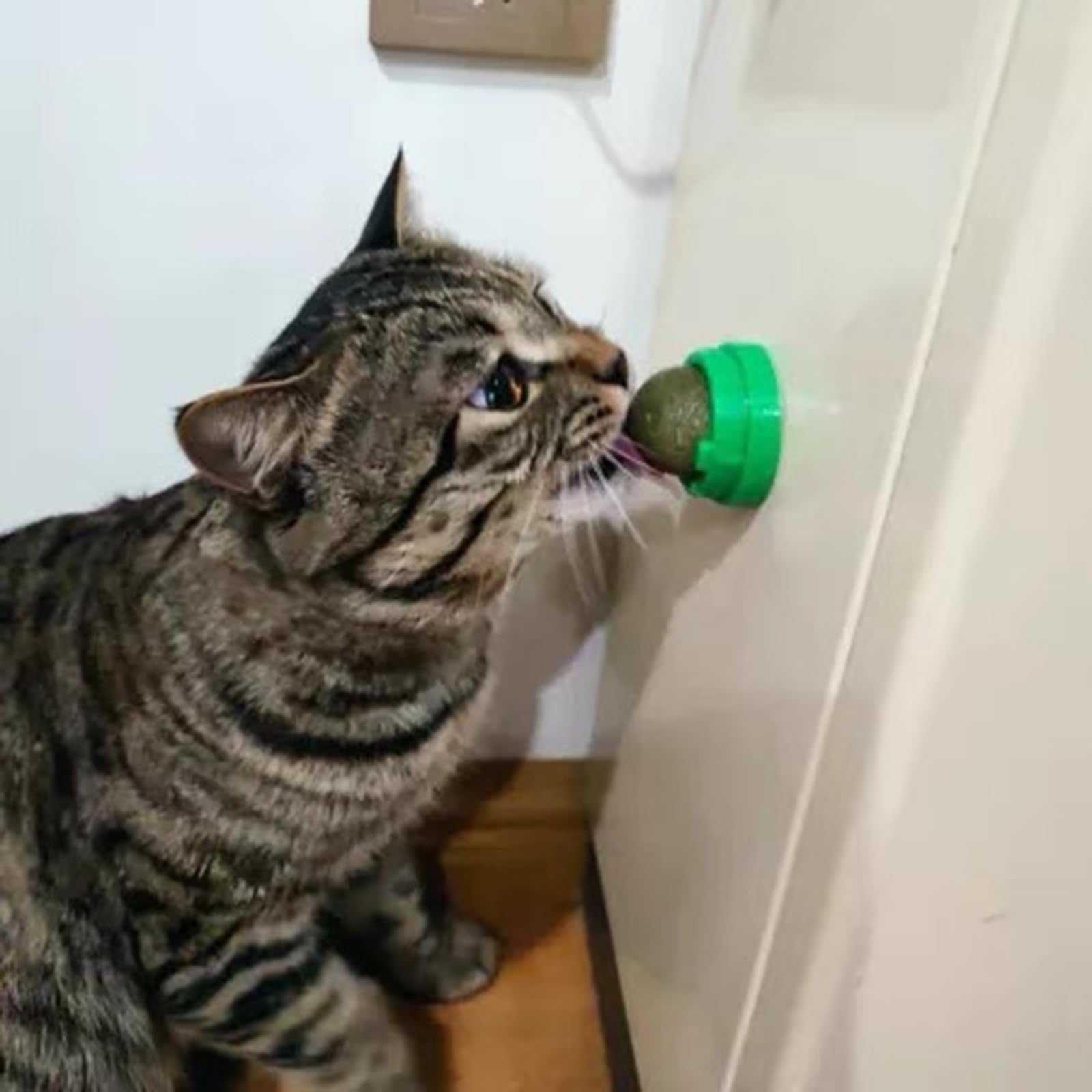 FOONEA 4-piece catnip balls pack offers varied play and flavors.