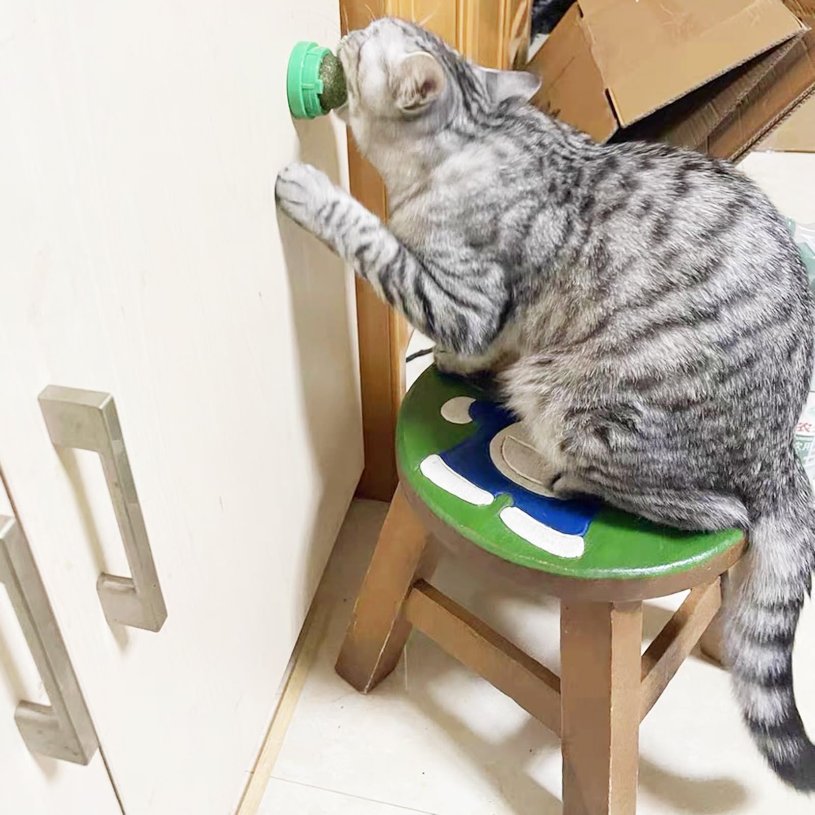 FOONEA catnip balls support healthy digestion through chewing and appetite stimulation.