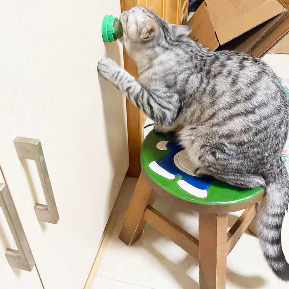 FOONEA catnip balls support healthy digestion through chewing and appetite stimulation.