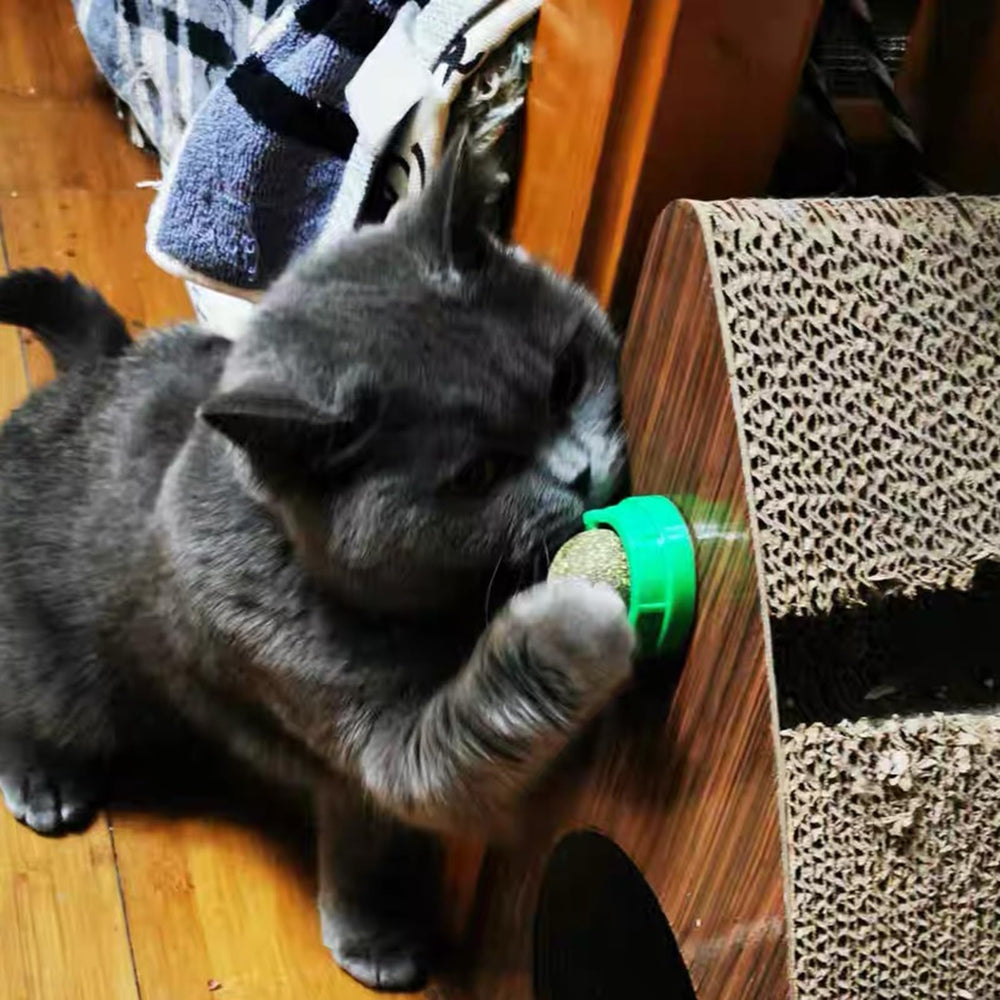 FOONEA catnip balls designed for indoor cats to stay engaged and active.