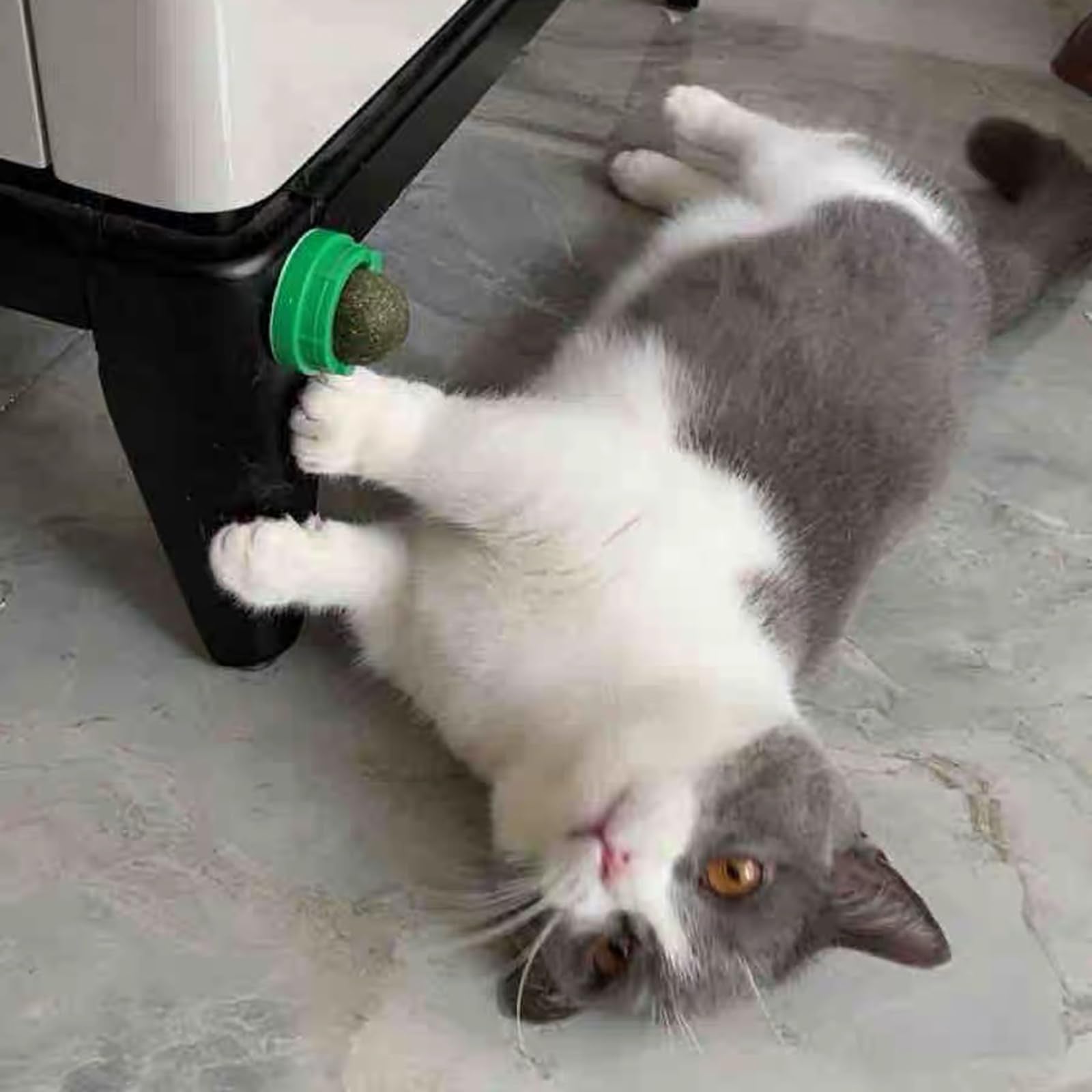FOONEA catnip balls highlight potential teeth-cleaning benefits during chewing.