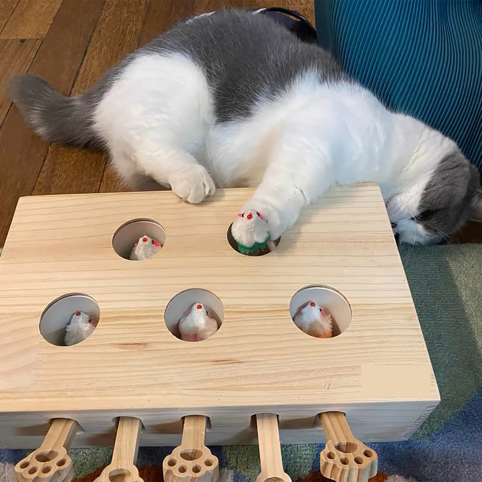 FOOPOMARY playtime with owners encourages interaction and exploration