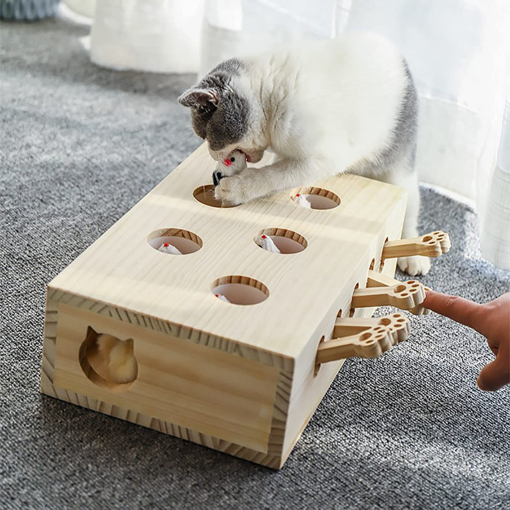 FOOPOMARY assembled cat toy arrives ready to play