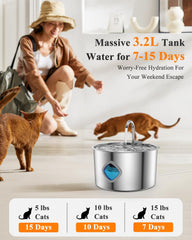 FOOPOMARY stainless-steel bowl showcases durable hygienic design for everyday drinking.