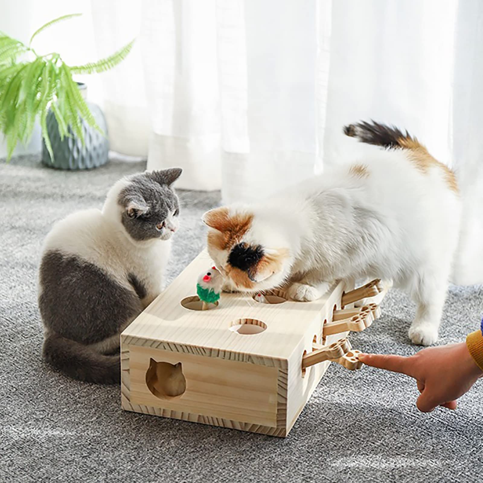 FOOPOMARY wooden toy helps reduce boredom during quiet afternoons
