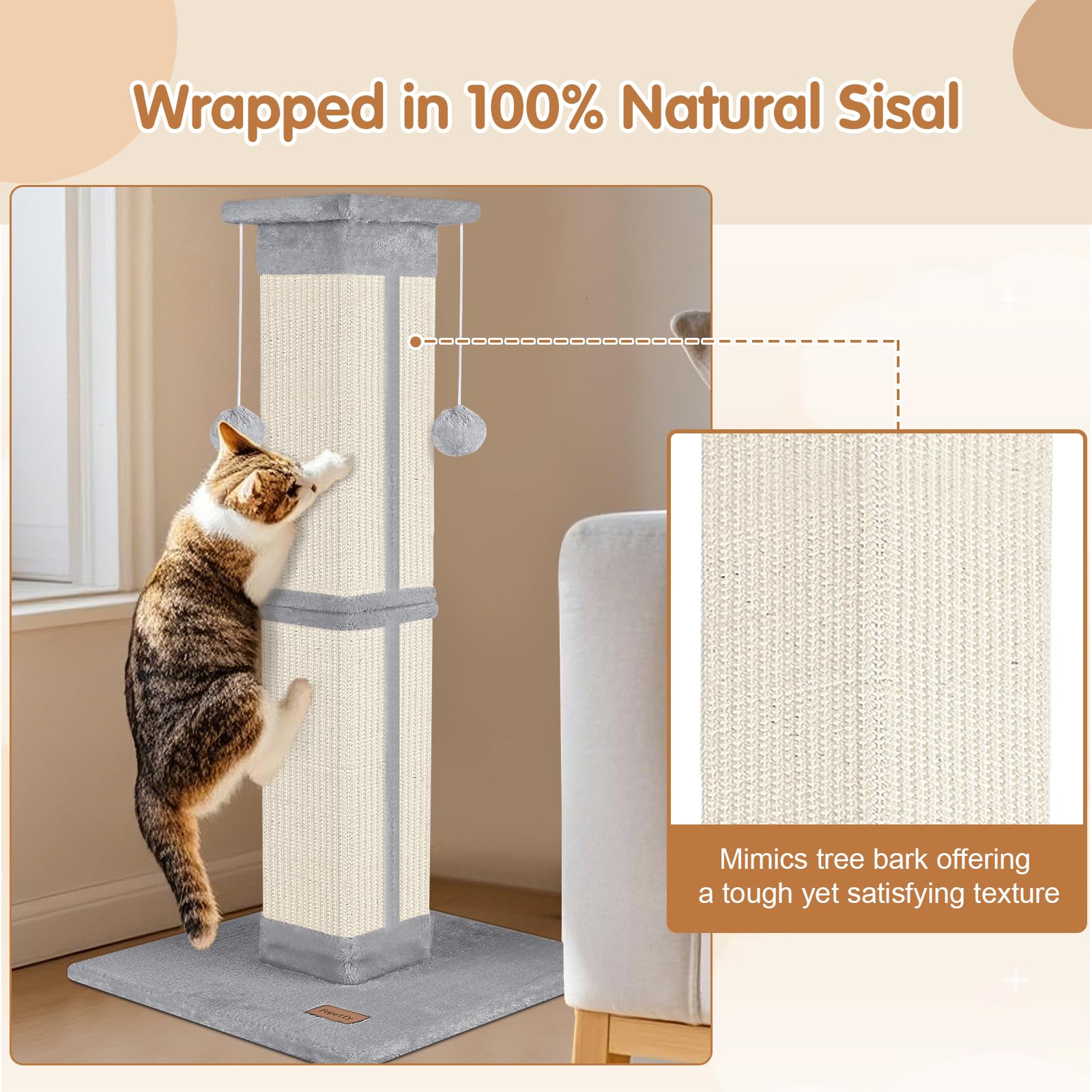 Fopetfy active-play area invites scratching and stretching to channel energy constructively.