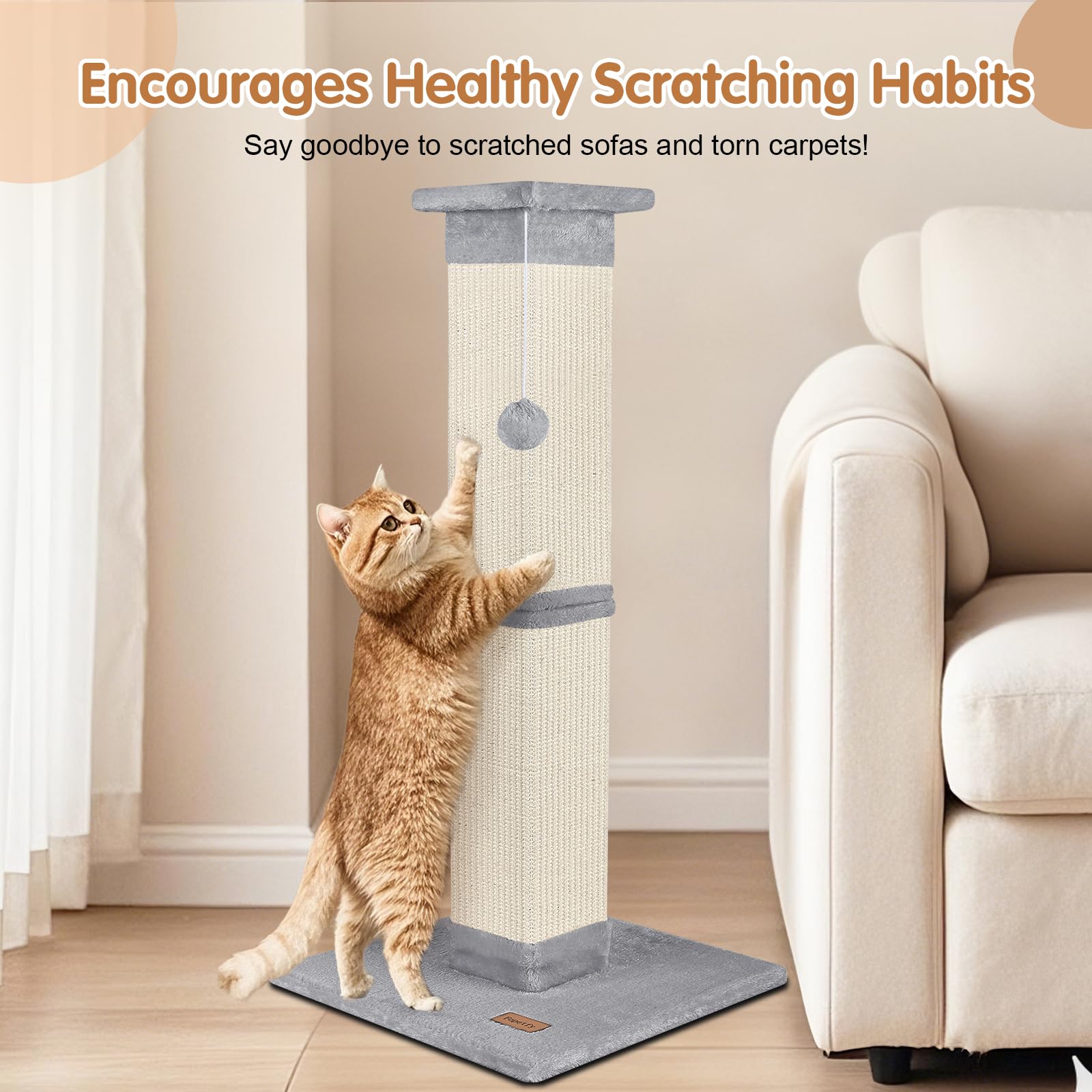 Fopetfy reinforced middle structure shows durable support for active multi-cat households.