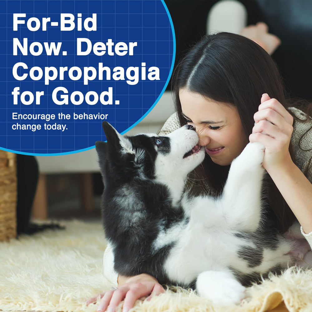 For-Bid pets mealtime-joy scene illustrating stress-free feeding.