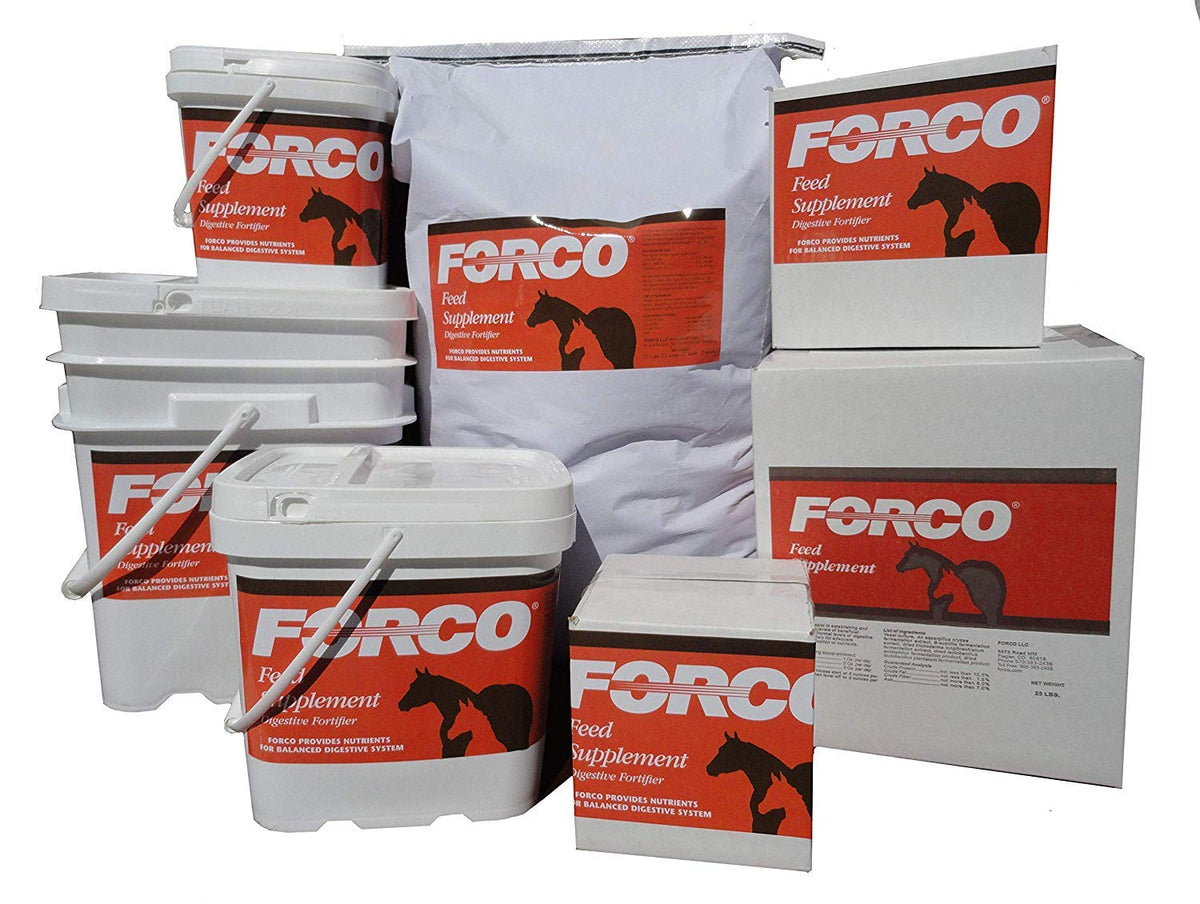 Forco Digestive Fortifier pellet supports balanced gut health in horses