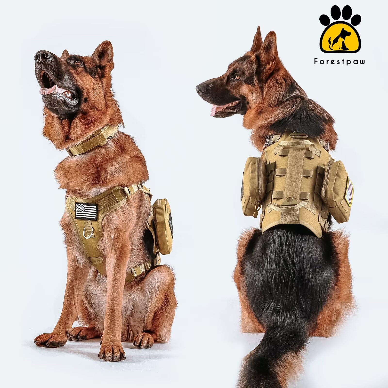 Forestpaw breathable mesh lining keeps dogs cooler during active workouts.