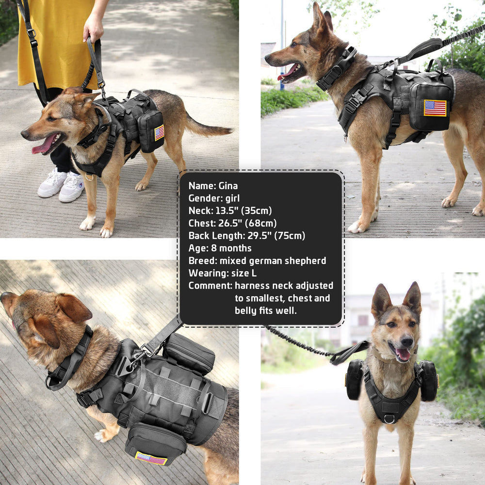 Forestpaw complete tactical bundle includes backpacks, collar, patches for organization