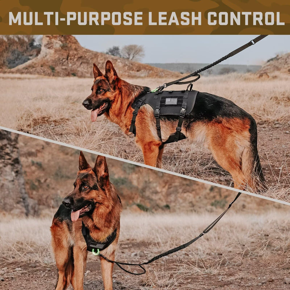 Forestpaw 1000D nylon harness delivers rugged durability for active dogs.