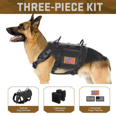 Forestpaw front no-pull clip in action for redirected pulling during walks