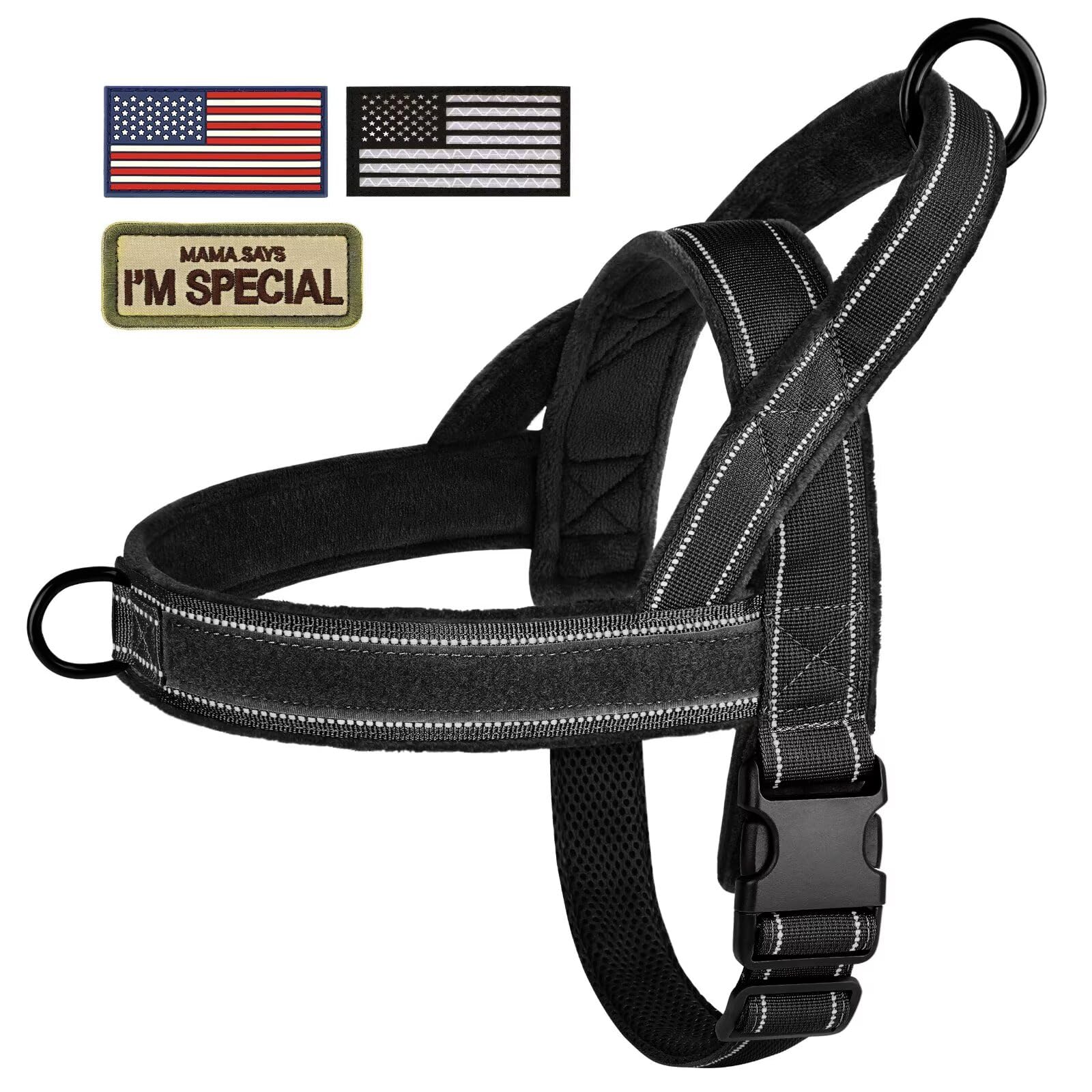Forestpaw dog-walking setup demonstrating comfortable control and training.