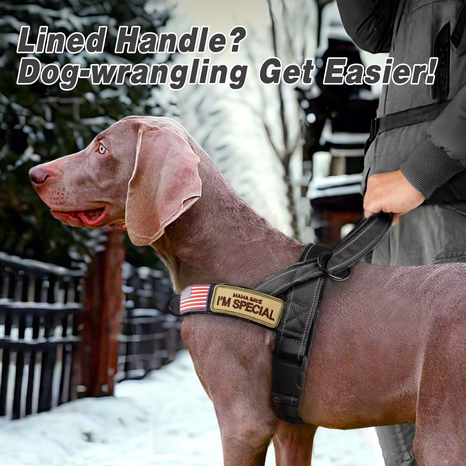 Forestpaw harness chest measurement guide showing sizing by chest girth.